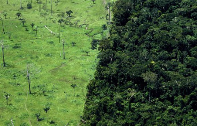 Déforestation de la forêt amazonienne, au Brésil. Déforestation de la forêt amazonienne, au Brésil.