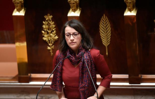 Cécile Duflot le 5 février 2016 à l'Assemblée nationale à Paris Cécile Duflot le 5 février 2016 à l'Assemblée nationale à Paris