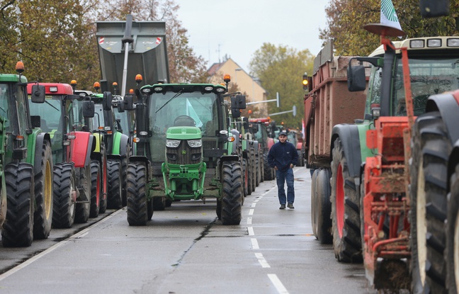 Illustration. Strasbourg le 5 Novembre 2014. Les agriculteurs manifestent. Illustration. Strasbourg le 5 Novembre 2014. Les agriculteurs manifestent.