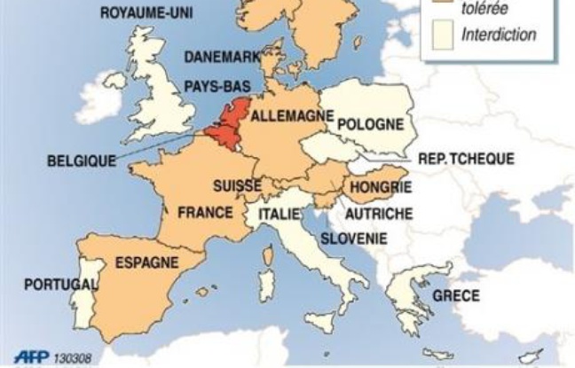 En Europe, seuls les Pays-Bas et la Belgique ont formellement légalisé l'euthanasie, sous de strictes conditions. Le Luxembourg a adopté le 20 février une loi dans le même sens qui devrait passer en deuxième lecture avant l'été. En Europe, seuls les Pays-Bas et la Belgique ont formellement légalisé l'euthanasie, sous de strictes conditions. Le Luxembourg a adopté le 20 février une loi dans le même sens qui devrait passer en deuxième lecture avant l'été.