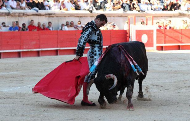 Le matador Jose Mari Manzanares durant une corrida se tenant pendant la feria de Nîmes, le 15 septembre 2012. Le matador Jose Mari Manzanares durant une corrida se tenant pendant la feria de Nîmes, le 15 septembre 2012.