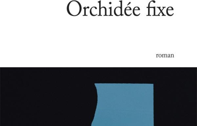 Orchidée fixe Orchidée fixe