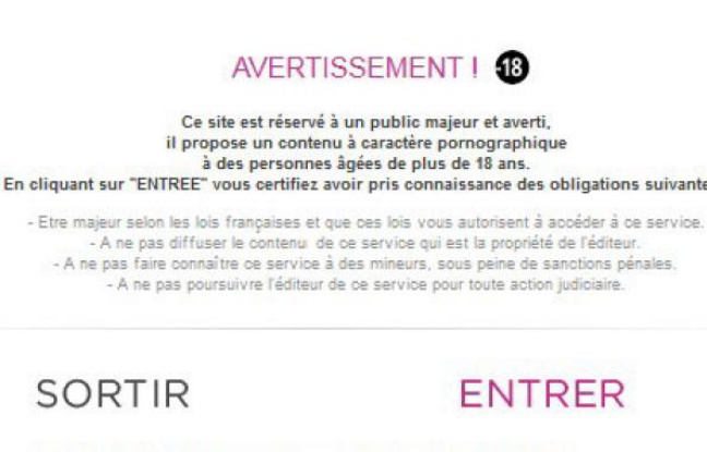 Capture d'écran: Avertissement précédant l'entrée sur un site pornographique. Capture d'écran: Avertissement précédant l'entrée sur un site pornographique.