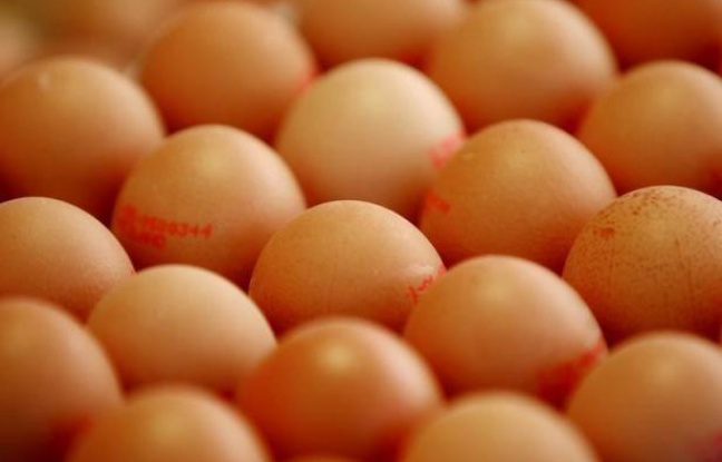 Plusieurs dizaines d'exploitations agricoles allemandes sont soupçonnées d'avoir vendu des oeufs sous l'appelation bio ou de plein air, alors qu'elles n'en respectaient pas le cahier des charges, a fait savoir lundi le ministère de l'Agriculture. Plusieurs dizaines d'exploitations agricoles allemandes sont soupçonnées d'avoir vendu des oeufs sous l'appelation bio ou de plein air, alors qu'elles n'en respectaient pas le cahier des charges, a fait savoir lundi le ministère de l'Agriculture.