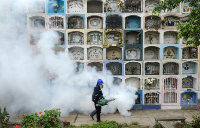 Un homme vaporise un produit anti-moustique aux abords de Lima, le 15 janvier 2016 Un homme vaporise un produit anti-moustique aux abords de Lima, le 15 janvier 2016