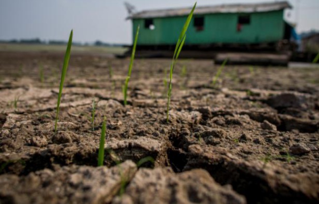 Un terrain desséché le 23 octobre 2015 à Manaus au Brésil Un terrain desséché le 23 octobre 2015 à Manaus au Brésil