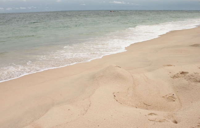 Sur les plages de Pointe Denis, à Libreville, les traces laissées par les tortues venues pondre se font de plus en plus rares. Sur les plages de Pointe Denis, à Libreville, les traces laissées par les tortues venues pondre se font de plus en plus rares.