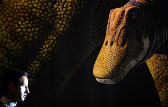 Faut-il se débarrasser des animaux qui détruisent la Terre ? ^^ 648x415_dinausaure-sauropode-represente-lors-exposition-the-world-largest-dinosaurs-13-avril-2011-museum-histoire-naturelle-new-york