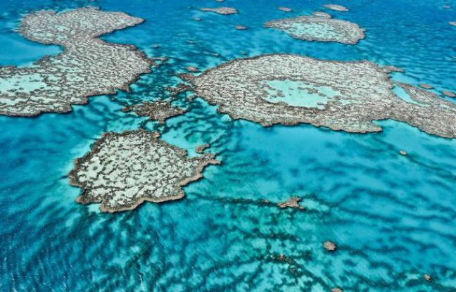 Photo non datée de la Grande barrière de corail fournie le 1er août 2013 par l'Institut australien de science marine Photo non datée de la Grande barrière de corail fournie le 1er août 2013 par l'Institut australien de science marine