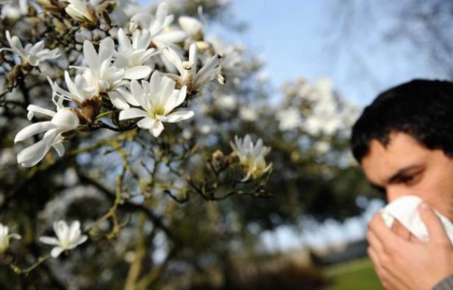 La rhinite alelrgique, ou rhume des foins, fait son retour avec le printemps La rhinite alelrgique, ou rhume des foins, fait son retour avec le printemps