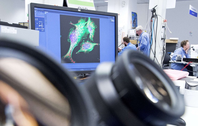 Illustration d'une recherche scientifique sur des cellules; et d'un microscope. Illustration d'une recherche scientifique sur des cellules; et d'un microscope.