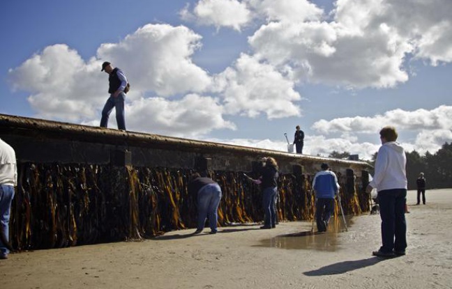 Un quai en provenance du Japon, balayé par le tsunami de mars 2011, a échoué sur une plage de l'Oregon, aux Etats-Unis, en juin 2012. Un quai en provenance du Japon, balayé par le tsunami de mars 2011, a échoué sur une plage de l'Oregon, aux Etats-Unis, en juin 2012.
