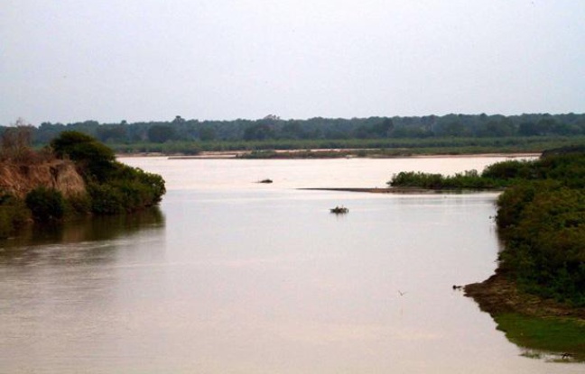 Le parc du Selous, en Tanzanie. Le parc du Selous, en Tanzanie.