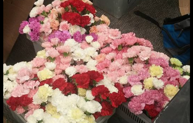 Un adolescent américain a acheté 900 fleurs pour en offrir une à chaque fille de son lycée pour la Saint-Valentin. Un adolescent américain a acheté 900 fleurs pour en offrir une à chaque fille de son lycée pour la Saint-Valentin.