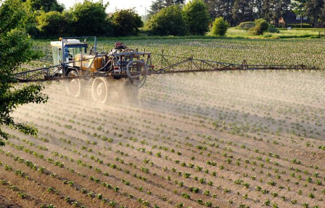 Un agriculteur pulvérise des pesticides sur des cultures dans le Nord de la France. Un agriculteur pulvérise des pesticides sur des cultures dans le Nord de la France.