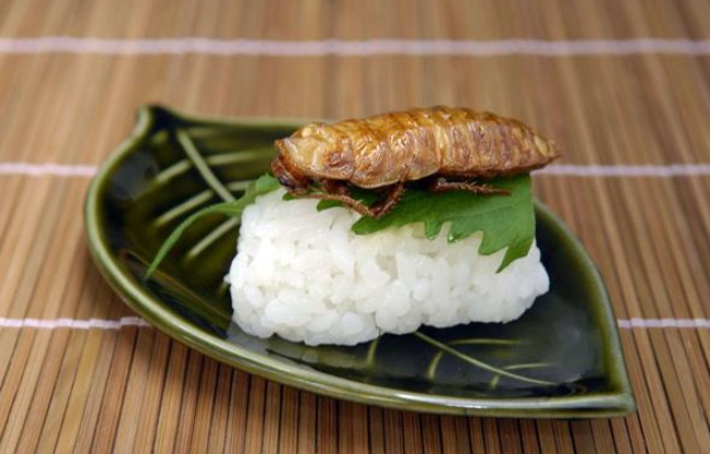 Un sushi d'insecte, à Tokyo, en 2008. Un sushi d'insecte, à Tokyo, en 2008.