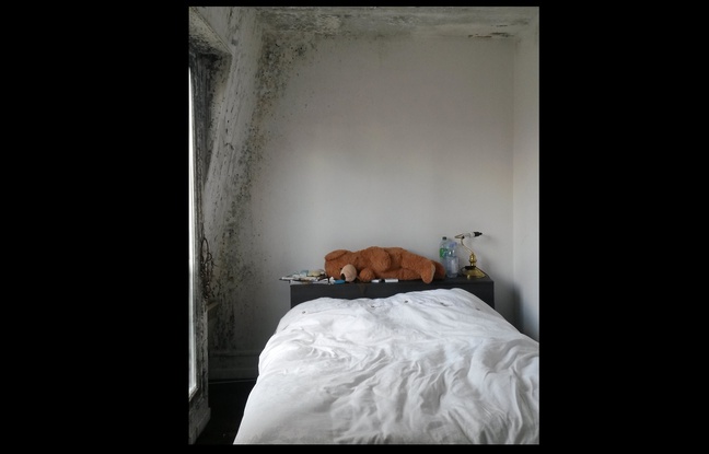 L'appartement de Lucile et Yassin et ses moisissures. L'appartement de Lucile et Yassin et ses moisissures.
