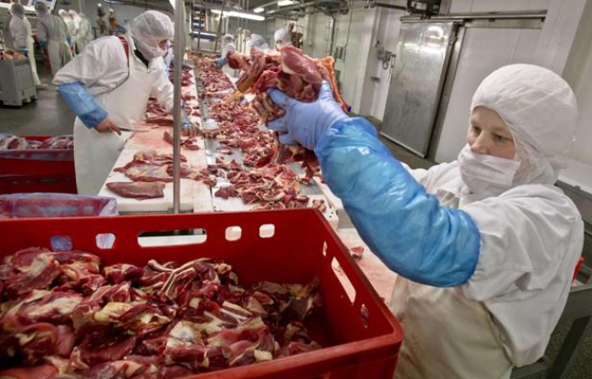 Un abattoir roumain, le 12 février 2013. Un abattoir roumain, le 12 février 2013.