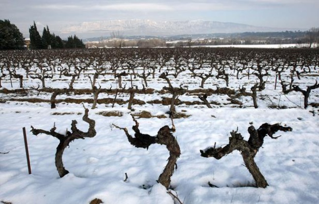 Illustration de la neige. Illustration de la neige.