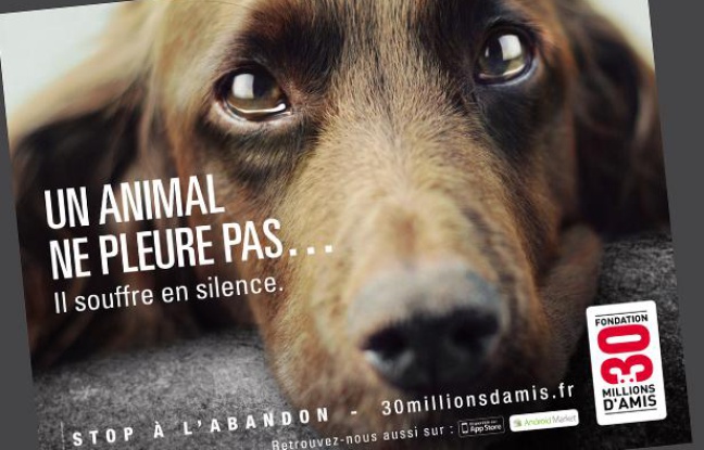 Une affiche de la nouvelle campagne de l'association 30 Millions d'Amis. Une affiche de la nouvelle campagne de l'association 30 Millions d'Amis.
