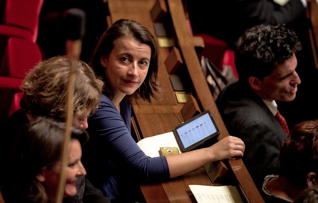 Cécile Duflot coprésidera le groupe écologiste à l'Assemblée nationale. Ici la députée EELV le 7 octobre 2015. Cécile Duflot coprésidera le groupe écologiste à l'Assemblée nationale. Ici la députée EELV le 7 octobre 2015.