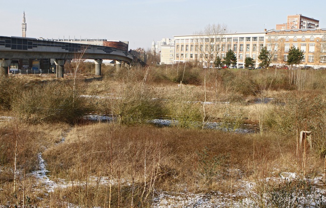 Exemple de friches environnementales. Exemple de friches environnementales.