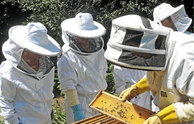 Cinquante personnes ont suivi les cours d'apiculture pendant six mois. Cinquante personnes ont suivi les cours d'apiculture pendant six mois.