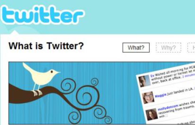 Twitter, le roi du micro-blogging Twitter, le roi du micro-blogging