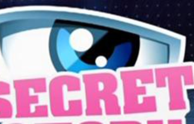 Secret Story, le néo-Loft de TF1 Secret Story, le néo-Loft de TF1