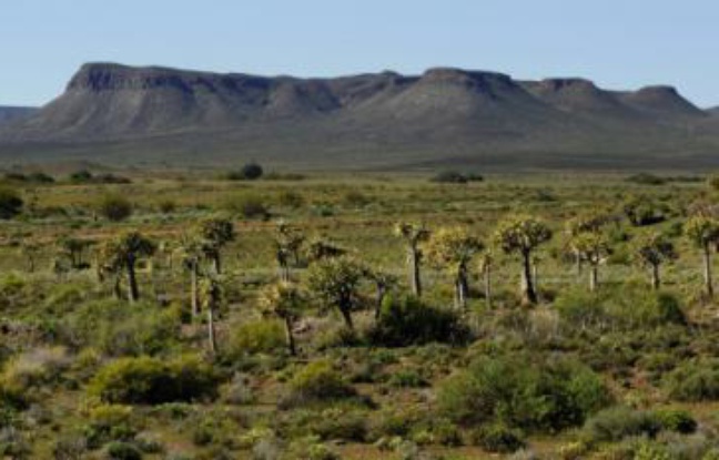La région du Karoo dans le centre-ouest de l'Afrique du Sud, dont le sous-sol contiendrait 11.000 milliards de mètres cubes de gaz de schiste, le 10 août 2009 La région du Karoo dans le centre-ouest de l'Afrique du Sud, dont le sous-sol contiendrait 11.000 milliards de mètres cubes de gaz de schiste, le 10 août 2009