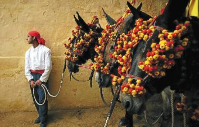 La ville de Jerez organise également des férias du cheval. La ville de Jerez organise également des férias du cheval.