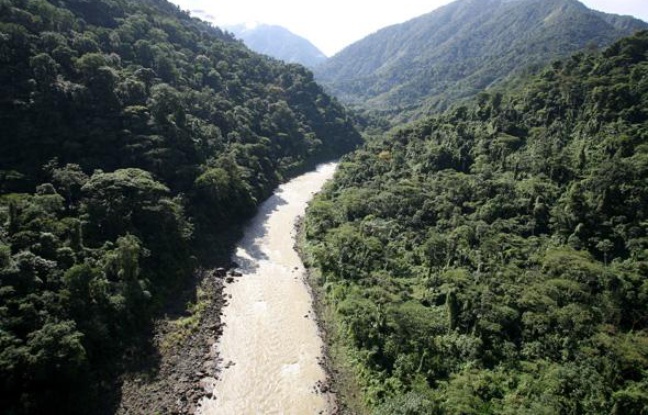 La forêt tropicale au Costa Rica. La forêt tropicale au Costa Rica.