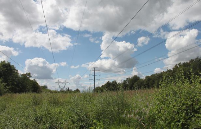 A Marolles-en-Brie, des mares se cachent sous les lignes électriques et abritent une flore exceptionnelle. A Marolles-en-Brie, des mares se cachent sous les lignes électriques et abritent une flore exceptionnelle.