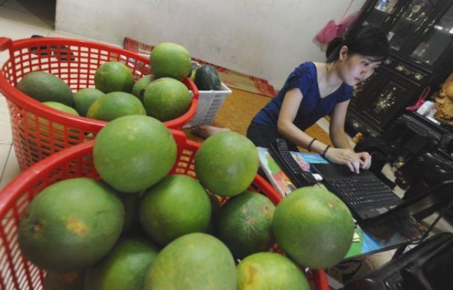 Ouvrir une affaire au Vietnam est un tour de force administratif après plus d'un demi-siècle de régime communiste. Les entrepreneurs sont donc prêts à toutes les options pour contourner la loi, y compris l'internet, devenu le terrain de jeu de nouveaux acteurs économiques. Ouvrir une affaire au Vietnam est un tour de force administratif après plus d'un demi-siècle de régime communiste. Les entrepreneurs sont donc prêts à toutes les options pour contourner la loi, y compris l'internet, devenu le terrain de jeu de nouveaux acteurs économiques.