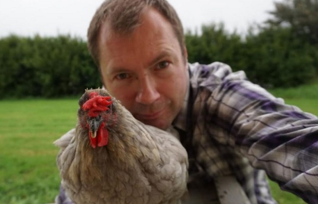 œuf Coincé Dans Le Cloaque Poule Nouvelle-Zélande: Il adopte une poule après l'avoir renversée avec sa