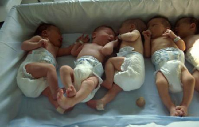 Bébés à la maternité. Bébés à la maternité.