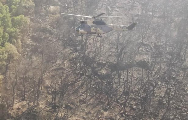 Le détachement d’intervention héliporté de l'armée française sur le versant espagnol des Pyrénées les 23 et 24 juillet dernier. Le détachement d’intervention héliporté de l'armée française sur le versant espagnol des Pyrénées les 23 et 24 juillet dernier.