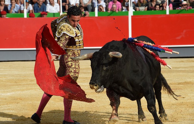 Corrida - Illustration Corrida - Illustration