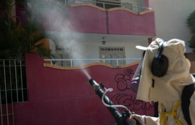 Fumigation contre le moustique Aedes Aegypti, vecteur du virus Zika, le 29 janvier 2016 à Bahia, au Brésil Fumigation contre le moustique Aedes Aegypti, vecteur du virus Zika, le 29 janvier 2016 à Bahia, au Brésil