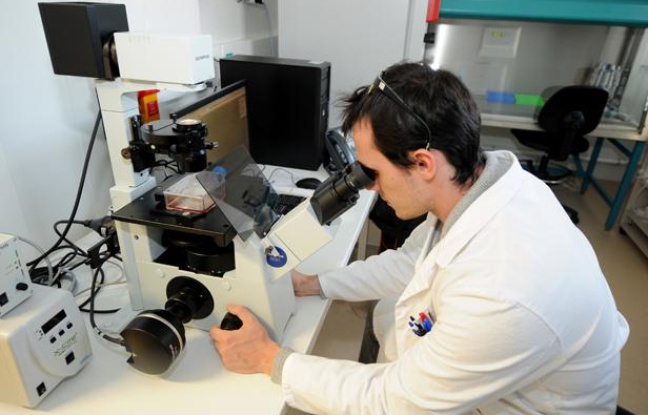 Un biologiste spécialisé dans les nanotechnologies dans un laboratoire de Grenoble. Un biologiste spécialisé dans les nanotechnologies dans un laboratoire de Grenoble.