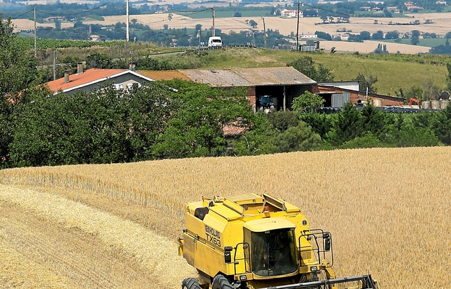 Plus de 60 000 tonnes de pesticides sont utilisés par an en France. Plus de 60 000 tonnes de pesticides sont utilisés par an en France.