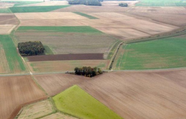 Les prix du foncier rural en France ont grimpé en 2011, notamment ceux des terres agricoles libres (+6,0%) et des forêts (+10,8%), perçues comme des "valeurs refuges", a indiqué mercredi la Fédération nationale des Sociétés d'aménagement foncier et d'établissement rural Les prix du foncier rural en France ont grimpé en 2011, notamment ceux des terres agricoles libres (+6,0%) et des forêts (+10,8%), perçues comme des "valeurs refuges", a indiqué mercredi la Fédération nationale des Sociétés d'aménagement foncier et d'établissement rural