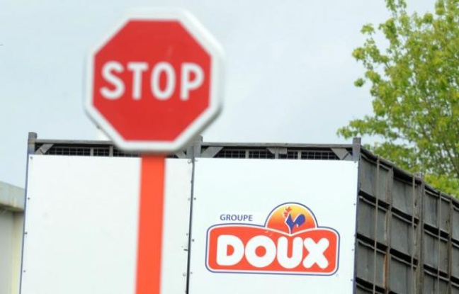 Jean-Yves Le Drian, le président socialiste du conseil régional de Bretagne, a proposé vendredi que la Région "apporte sa garantie à l'intervention d'un pool bancaire" pour permettre au groupe volailler breton Doux, placé en redressement judiciaire, de continuer à fonctionner. Jean-Yves Le Drian, le président socialiste du conseil régional de Bretagne, a proposé vendredi que la Région "apporte sa garantie à l'intervention d'un pool bancaire" pour permettre au groupe volailler breton Doux, placé en redressement judiciaire, de continuer à fonctionner.
