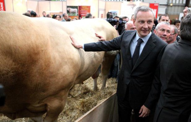 Le ministre de l'Agriculture Bruno Le Maire en visite dans un salon agricole à Rennes, en septembre 2011. Le ministre de l'Agriculture Bruno Le Maire en visite dans un salon agricole à Rennes, en septembre 2011.