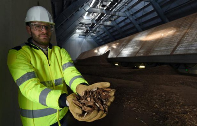 Un technicien montre des plaquettes de bois qui vont être brûlées dans la plus grande centrale biomasse de France, à Gardanne, près d'Aix-en-Provence, le 3 février 2016 Un technicien montre des plaquettes de bois qui vont être brûlées dans la plus grande centrale biomasse de France, à Gardanne, près d'Aix-en-Provence, le 3 février 2016