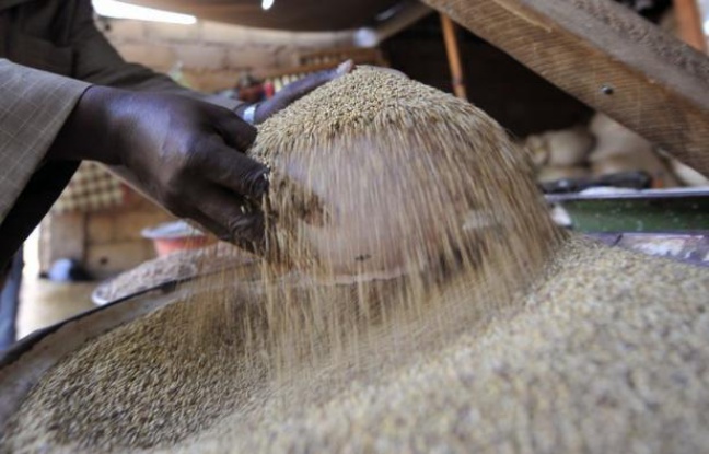 Les prix alimentaires mondiaux ont connu en juin un troisième mois consécutif de baisse, reculant de 1,8% par rapport à mai, tombant ainsi à leur plus bas niveau depuis septembre 2010, a annoncé jeudi l'Organisation des Nations unies pour l'alimentation et l'agriculture (FAO). Les prix alimentaires mondiaux ont connu en juin un troisième mois consécutif de baisse, reculant de 1,8% par rapport à mai, tombant ainsi à leur plus bas niveau depuis septembre 2010, a annoncé jeudi l'Organisation des Nations unies pour l'alimentation et l'agriculture (FAO).
