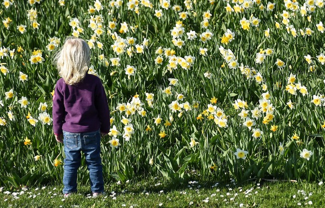Une étude montre que les enfants sont aussi touchés par les perturbateurs endocriniens. Une étude montre que les enfants sont aussi touchés par les perturbateurs endocriniens.