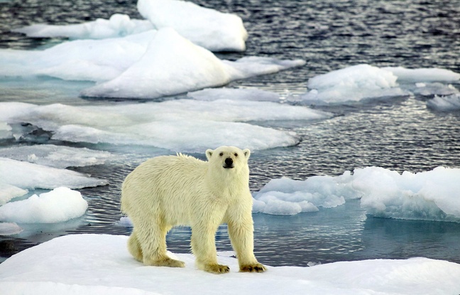 La température de l'air arctique a atteint un record en 2015. La température de l'air arctique a atteint un record en 2015.