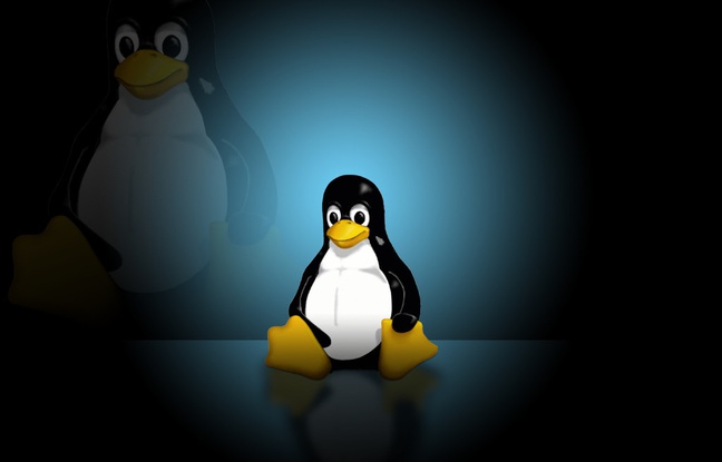 Tux, la mascotte de Linux. Tux, la mascotte de Linux.