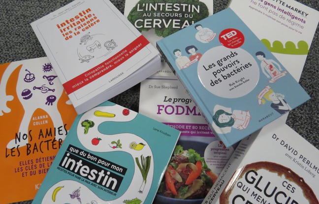 Illustration de livres sur le sujet des intestins, le 25 février 2016. Illustration de livres sur le sujet des intestins, le 25 février 2016.